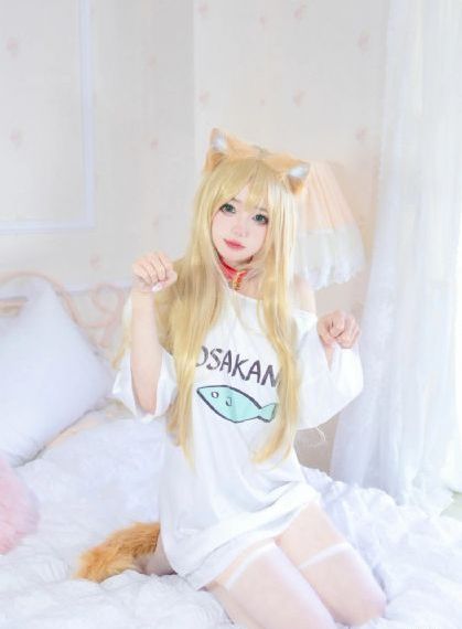 与晨同光